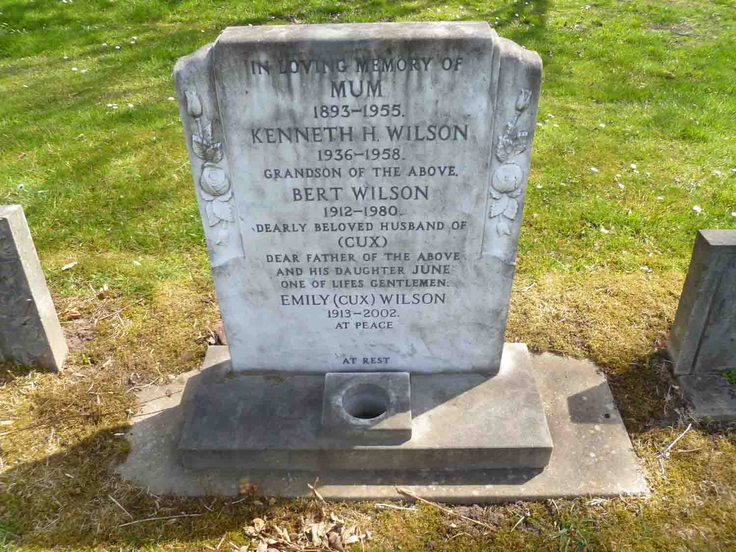 Wilson (E Left 949)